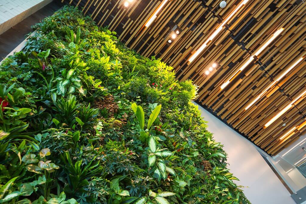 living wall of greenery in office